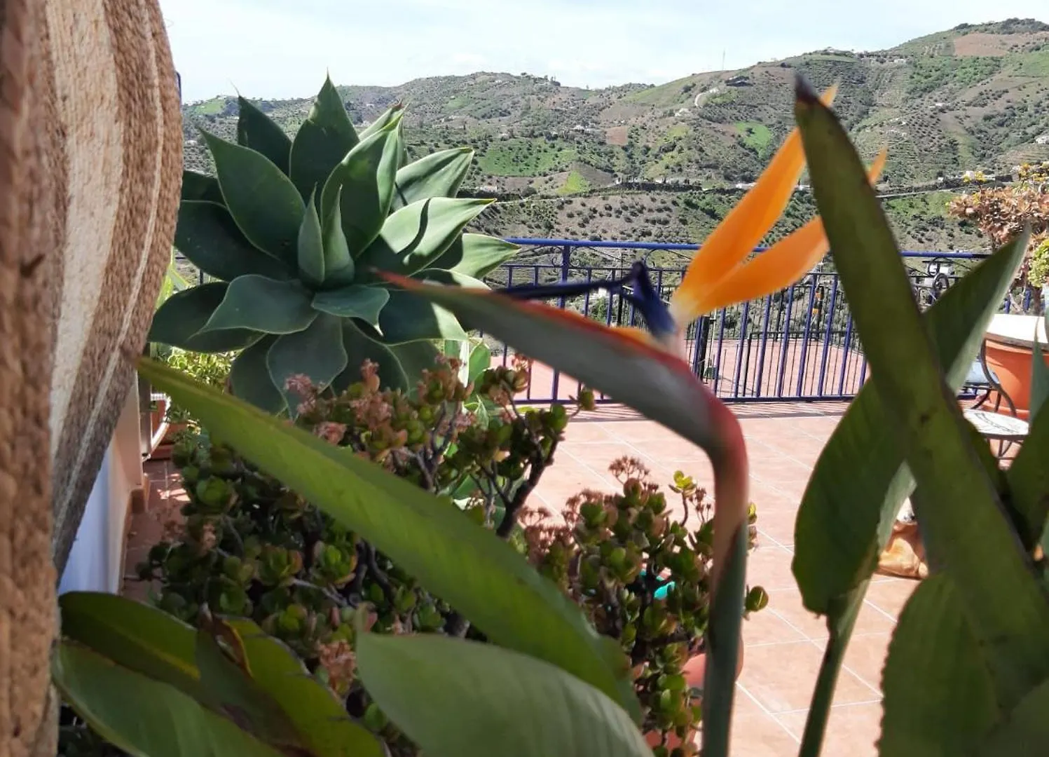 Casa Vista Bed & Breakfast Canillas de Albaida 0*,